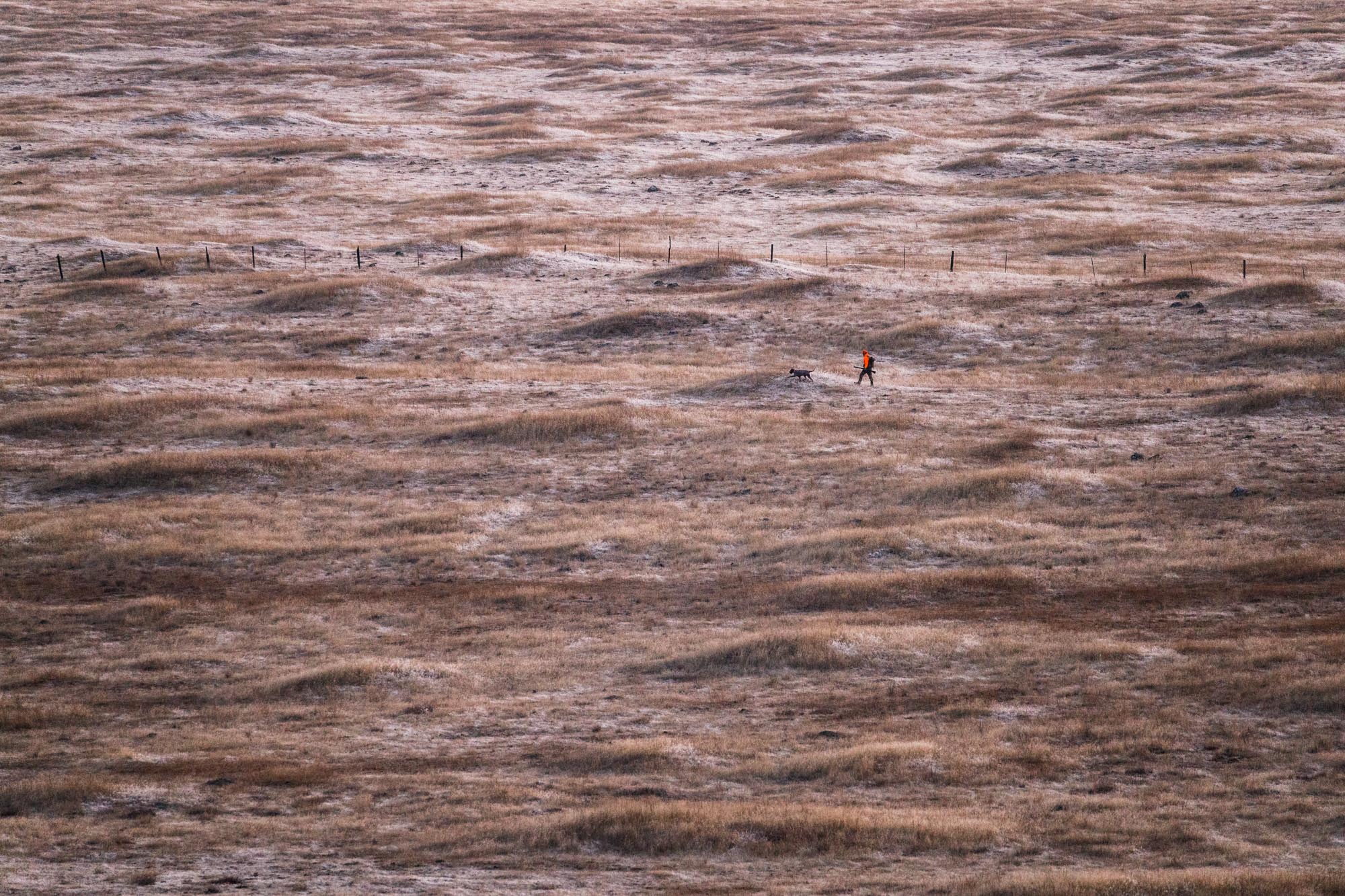BH_20190115_001
