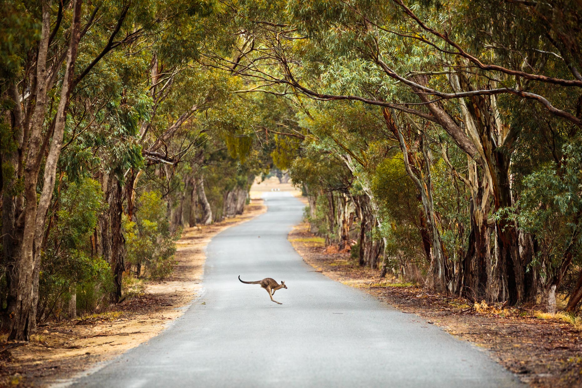 herndon_ben_australia (26)